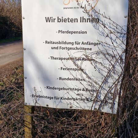 Ferienwohnung Halle/Lettin Halle  Esterno foto
