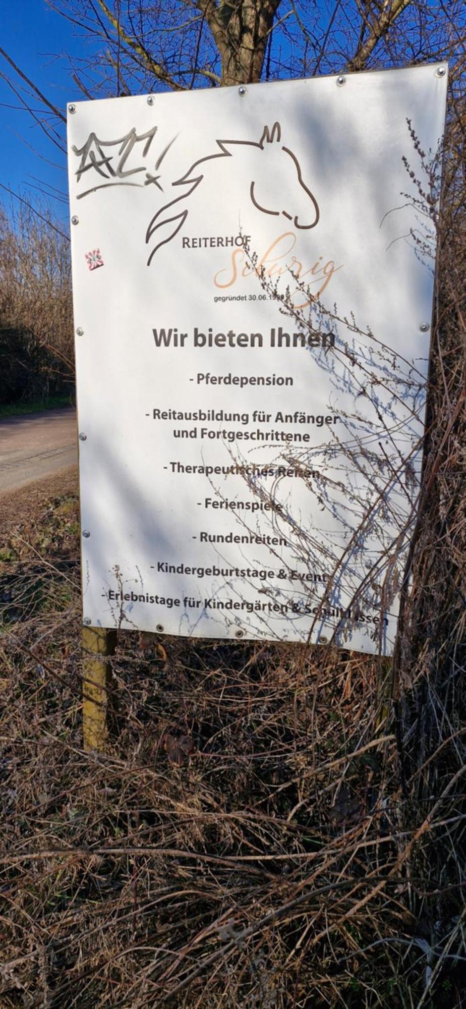Ferienwohnung Halle/Lettin Halle  Esterno foto